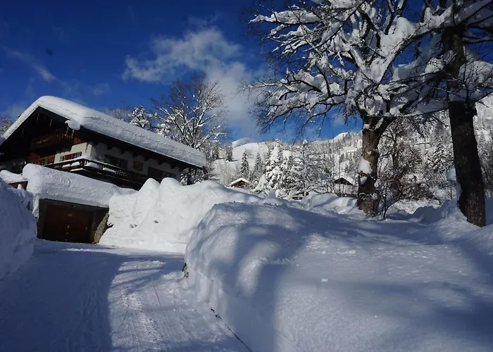 Haus Sonnenblick بيت ضيافة بايريشزيل