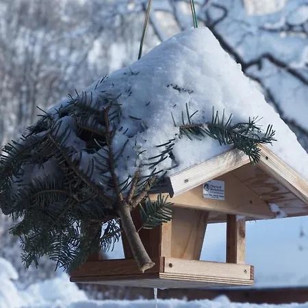 Haus Sonnenblick Гостевой дом *